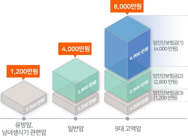 [유방암, 남녀생식기 관련암] 1,200만원 지급(암진단보험금(3)), [일반암] 4,000만원지급(암진단보험금(2),(3)), [9대 고액암] 8,000만원지급(암진단보험금(1),(2),(3))